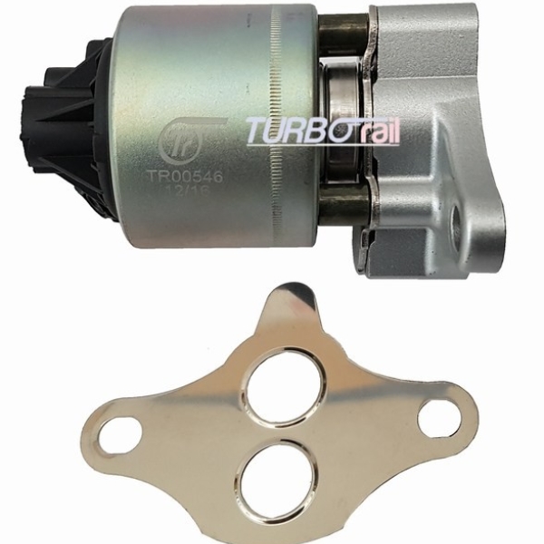 VALVOLA EGR TR00546